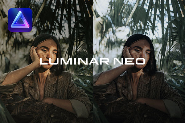「Luminar Neo」のリライトAI機能を活用すれば超簡単に近くと遠くを分けて明るさを編集することができる
